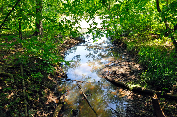 view from the walking trail
